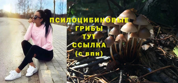 ПСИЛОЦИБИНОВЫЕ ГРИБЫ Абдулино